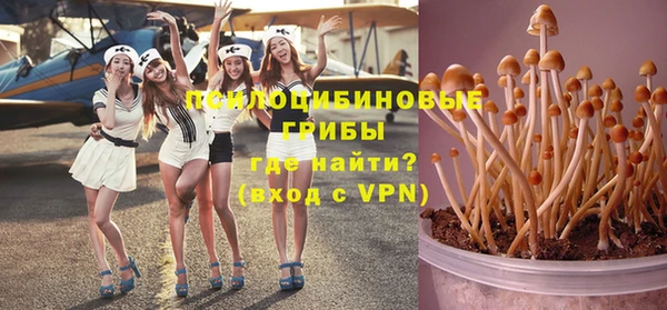 прущая мука Алексин