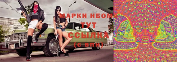 прущие грибы Алзамай