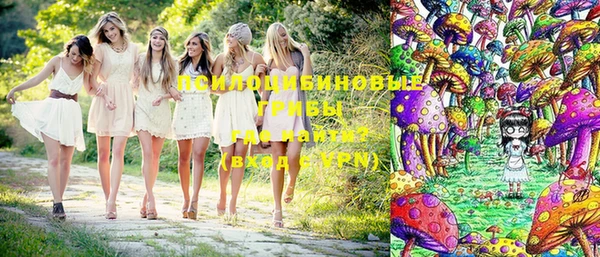 прущая мука Алексин
