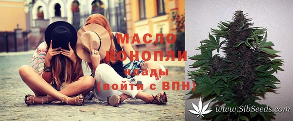 прущие грибы Алзамай