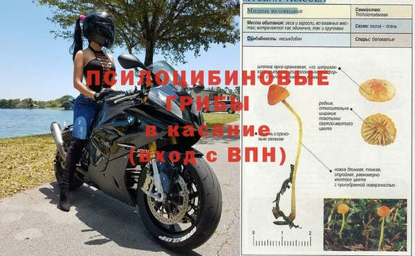 герыч Алексеевка