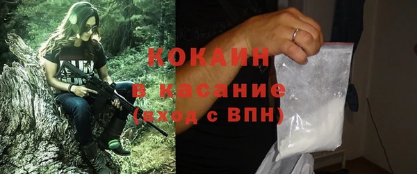 ПСИЛОЦИБИНОВЫЕ ГРИБЫ Абаза