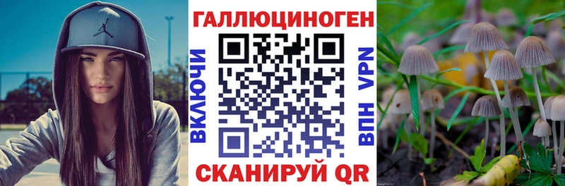 Псилоцибиновые грибы Cubensis  shop формула  Ливны  магазин   